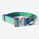 Comfort Control Collar - Lime Wave