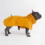 Dog Raincoat - Yellow||size:L,XL