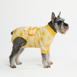 Sunshine Surgical Suit||size:M