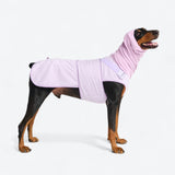 Purple Anti-Anxiety Suit