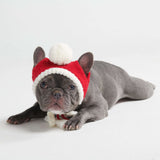 Gebreide Pom Pom hond muts