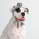 Gebreide Pom Pom hond muts
