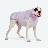 Purple Anti-Anxiety Suit