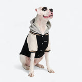 Chaqueta universitaria para perros - Negra