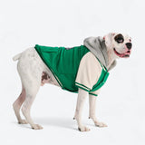 Chaqueta universitaria para perros - Verde