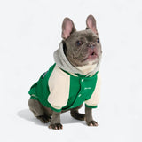 Chaqueta universitaria para perros - Verde