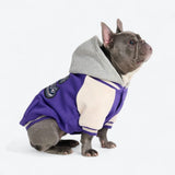 Chaqueta universitaria para perros - Púrpura