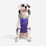 Chaqueta universitaria para perros - Púrpura