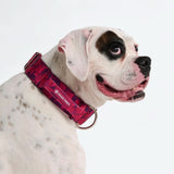 Comfort Controle Halsband - Fuchsia Camo