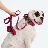 Comfort Controle Halsband - Fuchsia Camo
