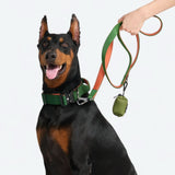 Comfort Controle Halsband Set - Groen Oranje