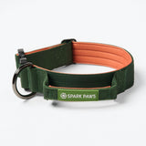 Comfort Controle Halsband Set - Groen Oranje