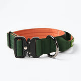 Comfort Controle Halsband Set - Groen Oranje