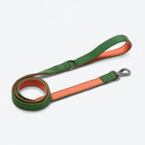 Comfort Controle Halsband Set - Groen Oranje