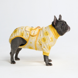 Sunshine Surgical Suit||size:L,XL