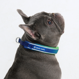Lime Wave Collar||size:A,B