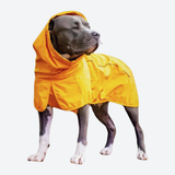 Dog Raincoat - Yellow||size:3XL