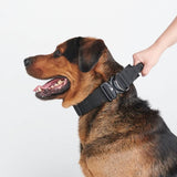 Collar táctico para perros - Negro