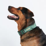 Collar táctico para perros - Verde militar