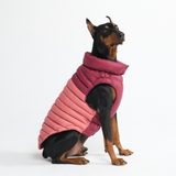 Red PuffShield Jacket||size:3XL,4XL