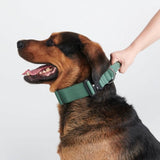 Juego de collar táctico para perros - Verde militar
