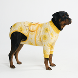 Sunshine Surgical Suit||size:5XL