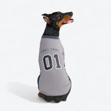 Football Mesh Jersey - Grey