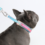 Pastel Icing Collar||size:A,B