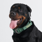Juego de collar táctico para perros - Verde militar