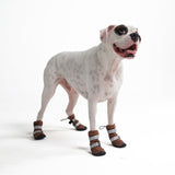Botas de agua para perro, Zapatos impermeables para perro - Marrón