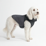 Black PuffShield Jacket||size:2XL