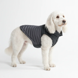Black PuffShield Jacket||size:2XL