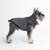 Black PuffShield Jacket||size:S,M