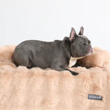 Kalmerend Zacht Bankhoes Hondenbed - Beige