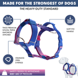 Arnés para perros Comfort Control No-Pull - Cono de nieve