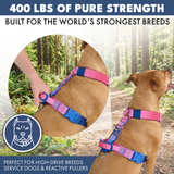 Arnés para perros Comfort Control No-Pull - Cono de nieve