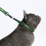 Green Collar||size:A,B