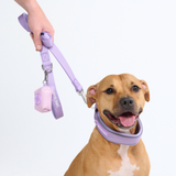 Lilac Collar||size:C,D,E