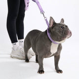 Lilac Martingale Collar||size:A,B