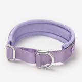Lilac Martingale Collar||size:C,D,E
