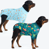 Breakfast Blue and Dinosaurs||size:5XL