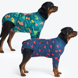 Dinosaurs and Hearts||size:5XL