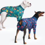 Dinosaurs and Hearts||size:3XL,4XL
