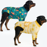 Dinosaurs and Sunshine||size:5XL