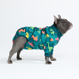 Dinosaurs Surgical Suit||size:L,XL