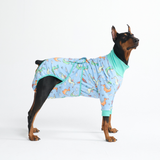 Dragons Surgical Suit||size:3XL,4XL