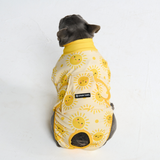 Sunshine Surgical Suit||size:S,M,L,XL,2XL,3XL,4XL,5XL