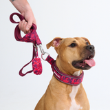 Fuchsia Camo Collar||size:C,D,E