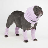 Protector para Orejas Calmantes de Ansiedad para Perros - Lila