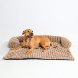 Brown Lux Couch Bed